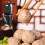 Household Sweet Ball Maker Small Automatic Dumpling Machine UK Plug 5