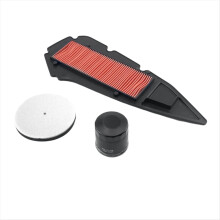 Engine Air Filter Oil Filter with Air Inlet Sponge for ZT368G