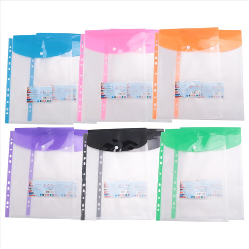 Lot de 12 pochettes en plastique perforées A4 1