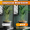 16Pcs Tree Ring Mulch Mat, 11.8 Inch Mulch Ring Plant Protectors Mat 4