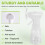 Water Mist Fan Mini Fan Batterij-aangedreven Waterventilator Wit 6