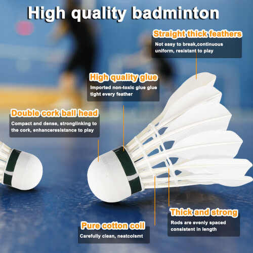 Training Badminton Racket Shuttlecock Set Physical 1