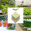 Hydroponisk planting Medium Block Plant Block Jordfri Matrisesåing 6
