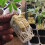 Hydroponisk planting Medium Block Plant Block Jordfri Matrisesåing 7