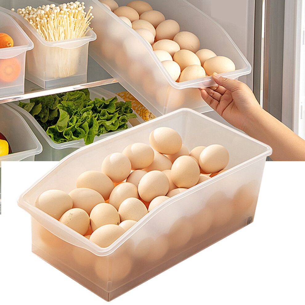 Large Translucent Plastic Egg Storage Container, 37x19x13cm-image-OPC-PKFWH95-NEW