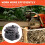 Kit pistone da 47 mm per gruppo cilindro 357-359 7