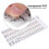 Transparent Removable Piano Key Board Sticker for 4