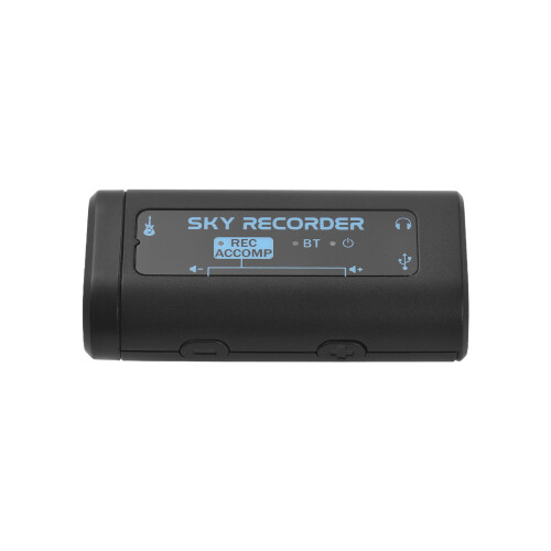 Audio Interface Portable Mini Recording Sound Card 2