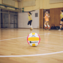 PU-Butyl Volleyball für Training & Wettkampf, Rosa, 277g, 20x20x13cm