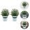 4 stk künstl Bonsai- , Topfpflanze, simulierte 8