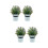 4 stk künstl Bonsai- , Topfpflanze, simulierte 7