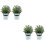 4 stk künstl Bonsai- , Topfpflanze, simulierte 6