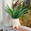 Stable and Durable Flower Pots Resin Planter Pots for Small 6