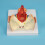 Anatomical Pharyngeal Wall Muscle Model for Disease Study, 5
