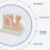 Anatomical Large Intestine Villus Model, Digestive System Model 6