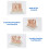 Anatomical Large Intestine Villus Model, Digestive System Model 5