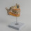Dental Teeth Model, Human Permanent Tooth Model, Dental Anatomy 5