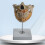Dental Teeth Model, Human Permanent Tooth Model, Dental Anatomy 6