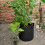 5Pcs Portable Black Planting Pouch with Air Permeability 7