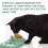 Pet Bowl Tableware Detachable Plastic 10