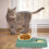 Pet Bowl Tableware Detachable Plastic 6