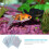 1 Box Replacement Tank Filter Cotton Aquarium Pad 11