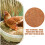 10pcs Pigeon Nesting Mat Coconut Fiber 10cm 8