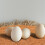 10pcs Pigeon Nesting Mat Coconut Fiber 10cm 5