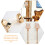 Mlins  Unity Candles For Wedding Gold Holder Crystal Elegant 10