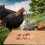 Sipeihong 5pcs Chicken Nesting Pads For Coop Bedding & Composting 7