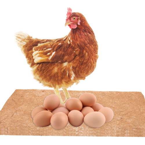 Sipeihong 5pcs Chicken Nesting Pads For Coop Bedding & Composting 1