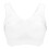 Clothes Mannequin Stand Female Bra Display Plastic 1set 1