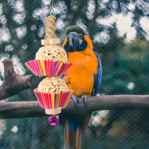 Bird Chewing Toy Parrot Chewing Toy Straw 1set 2
