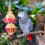 Bird Chewing Toy Parrot Chewing Toy Straw 1set 10