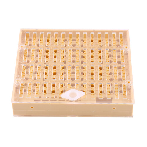 Beekeeping Queen Rearing Cups Box Cell Bar Blocks 1