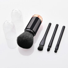 in 1 Mini Makeup Brush Set, Portable Travel Lip Brush (Black)