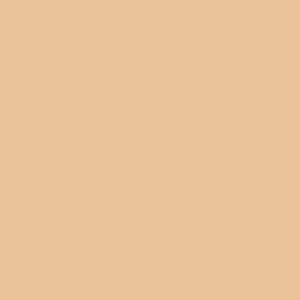 Bareminerals (11 Cedar) Complexion Rescue Natural Matte Tinted Moisturizer Mineral Spf30