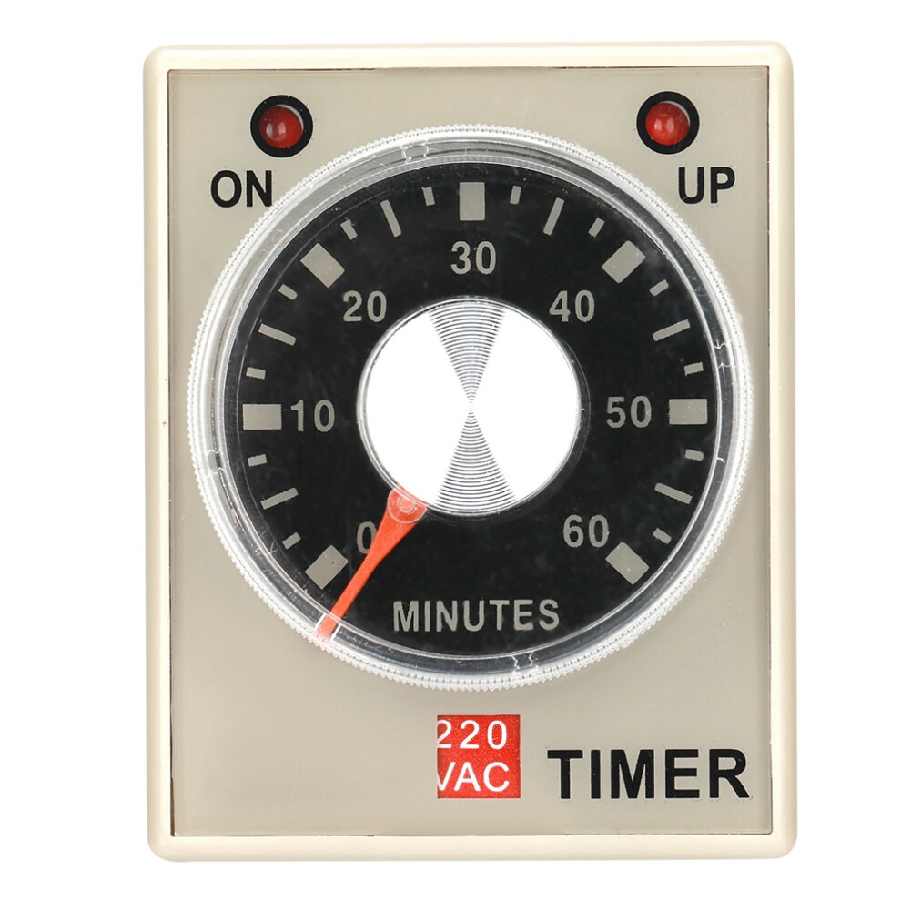 220VAC 60 Minutes Power On Delay Timer Time Relay
