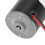31ZY Permanent Magnetic DC Carbon Brush Motor 12