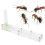 Acryl-Formicarium-Antendisplay-Box mit integriertem Feuchtisierungssystem 2