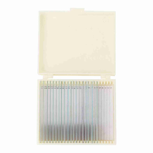 20pcs Microbiological Bacterial Specimens Biology