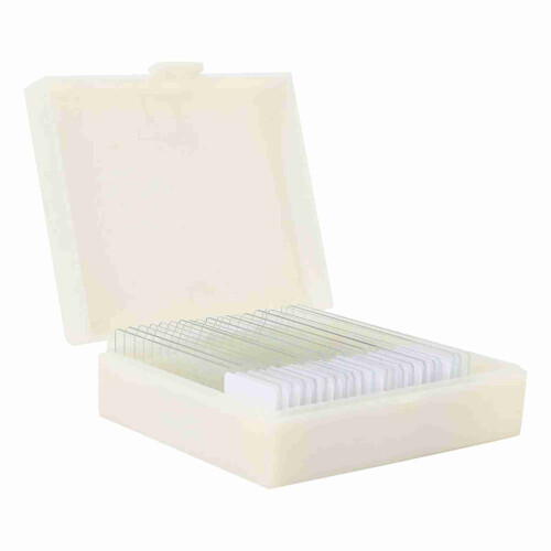 20pcs Microbiological Bacterial Specimens Biology 2