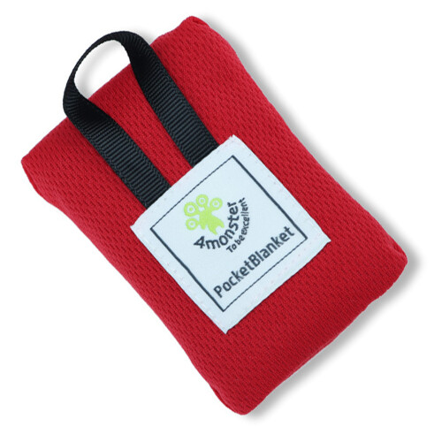 Travel Camping Blanket Beach Moisture-Proof Folded Cushion-Red