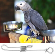 Bird Training Foot Chain for Parrots Stainless Steel Ring Medium Size
