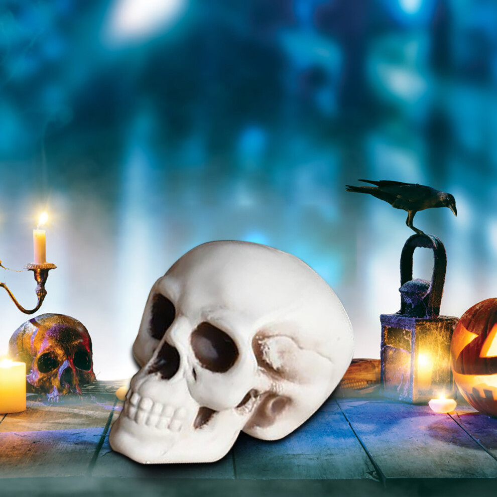 (D) Halloween Skeletons Plastic Realistic Fake Simulation Human Skull HeadBone Model Halloween Prop Realistic Mini Skeleton Spooky Halloween Decoratio