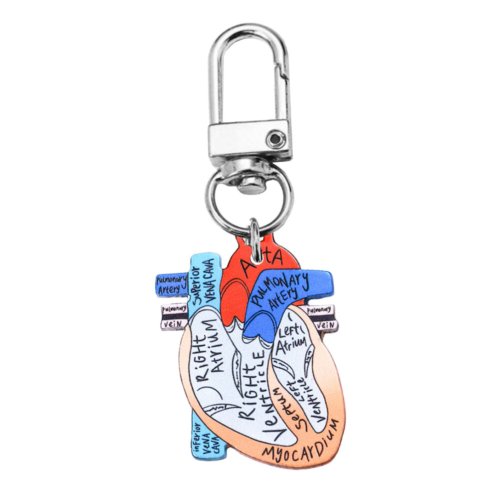 Realistic Heart Diagram Keychain Charm for Public-heart 5