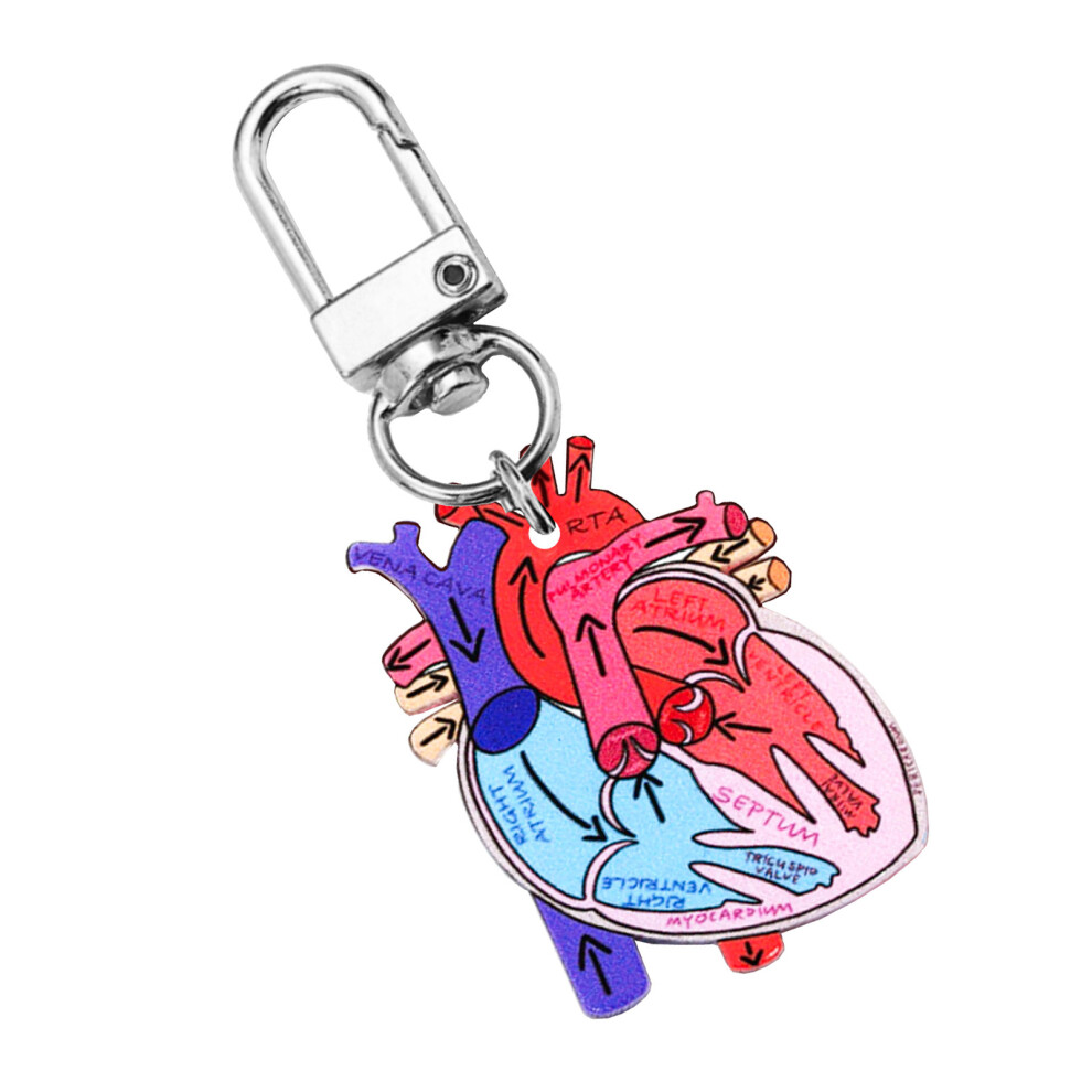 Human Heart Diagram Keychain Perfect for Students and-heart 2