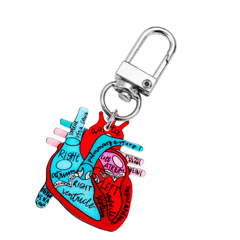 Heart Anatomy Keychain Ornament Educational Heart-heart 3