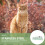 Résistante Pour Animaux 10