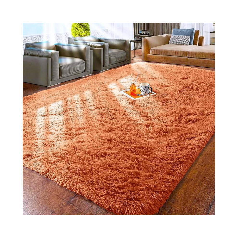 (Rust , 200 x 290 cm (Rectangular)) [Back To It/School/Uni] IR Imperial Rooms Shaggy Rugs for Living Room Durable Rectangular Cozy, High Pile Soft Thr-image-OPC-PKGGNPG-NEW